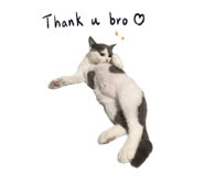 705519866
