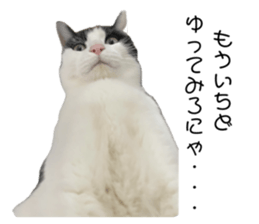 705531828