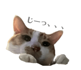 705558025