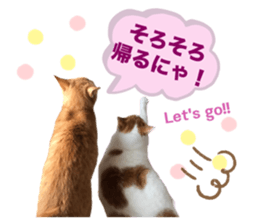 705558040