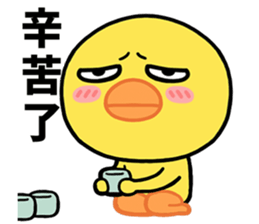 705565446