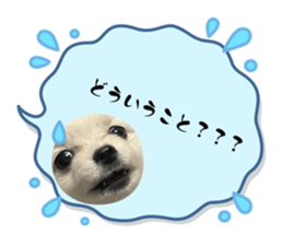 705581617