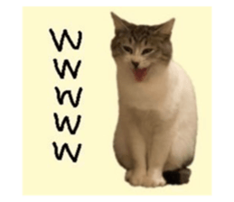 705584223