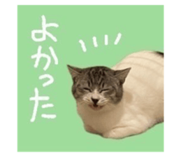 705584235