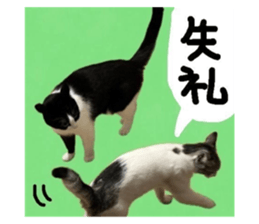 705584236