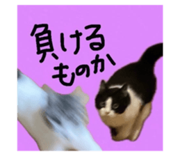 705584240