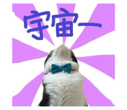 705584242