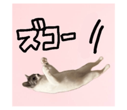 705584247
