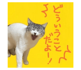 705584251