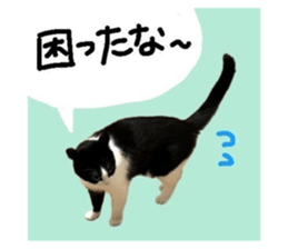 705584253
