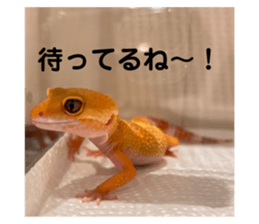 705602150