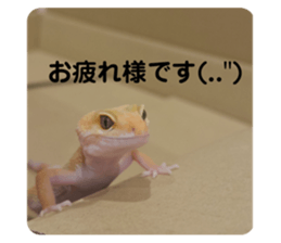705603137