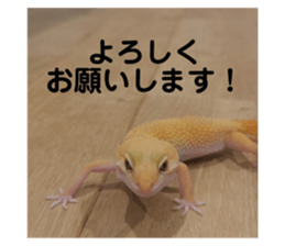 705603139