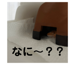 705603150