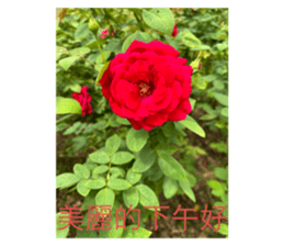 705636466