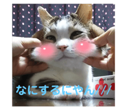 705680403