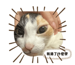 705683843