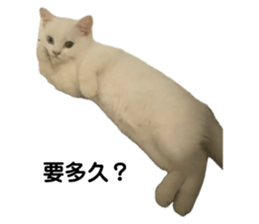 705689734