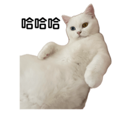 705689741