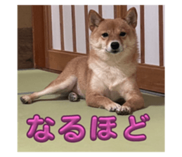 705702656