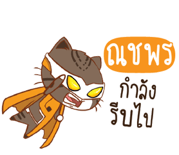 705711493