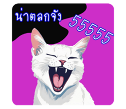 705716509