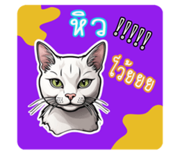 705716521