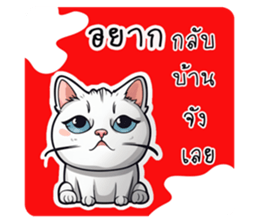 705716528