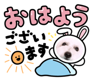 705722540