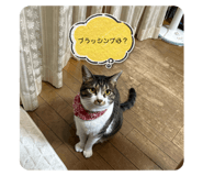 705764647