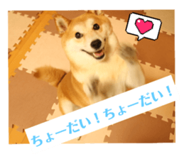 705768971