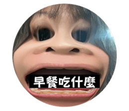 705797446
