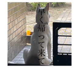 705824310