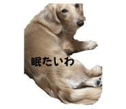 705829063