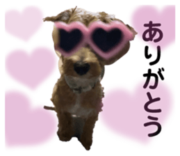 705833206