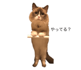 705833323