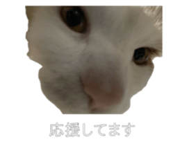 705834322