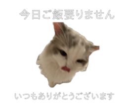 705834328