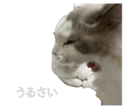 705834333