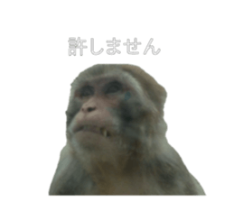 705834336