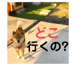 705837033