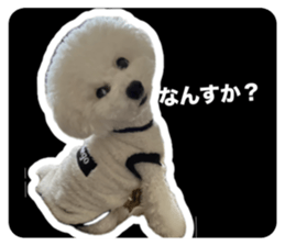 705837944