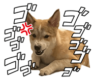 705850119