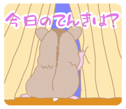 705895547
