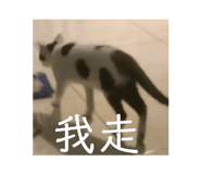 705944997