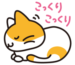 7059594