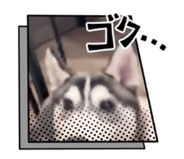 705967816