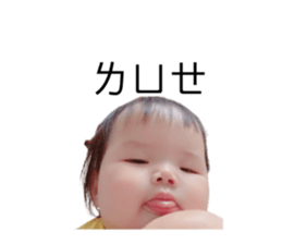 705988016