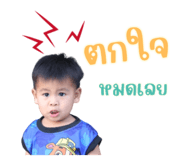 706003819