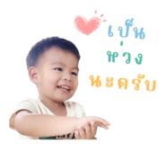706003823
